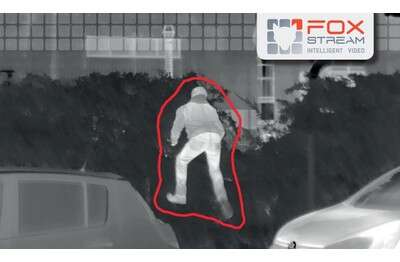 Licence FoxVigi - Levée de doute vidéo + SML 1 an