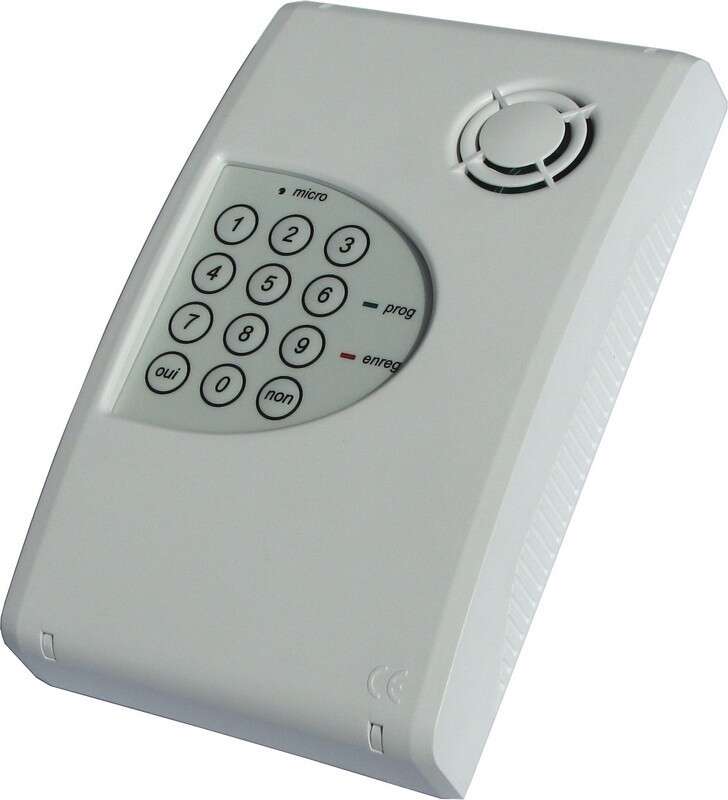 Transmetteur téléphonique mixte: vocal/digital