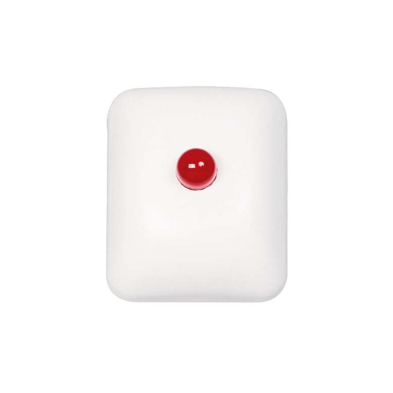 Indicateur d'action  (28g)