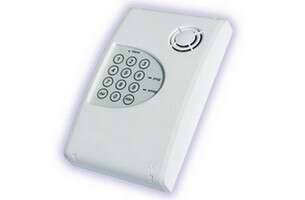 Transmetteur téléphonique mixte: vocal/digital