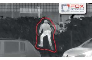 Licence FoxVigi - Levée de doute vidéo + SML 1 an