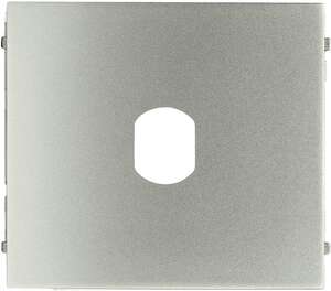 Façade vierge prépercée T25 ou Vigik