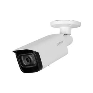 Visuel du produit Caméra IP WizMind 2MP Obj2.8m IR80M IP67 IK10