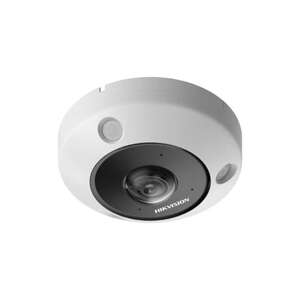 Caméra IP Fisheye DeepInview 6MP Obj 1.16mm IR 15M IP67 IK10