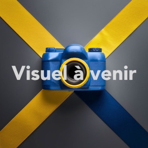 Support de montage mural rotule pour détecteur intrusion